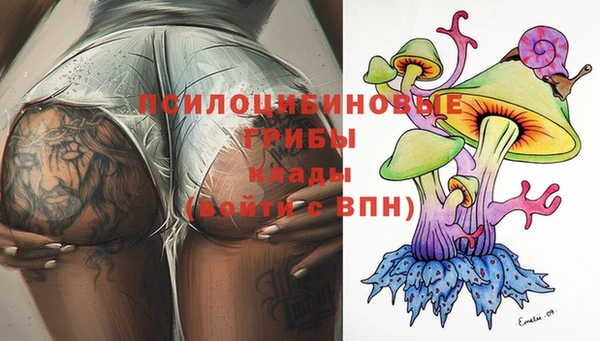 спайс Баксан