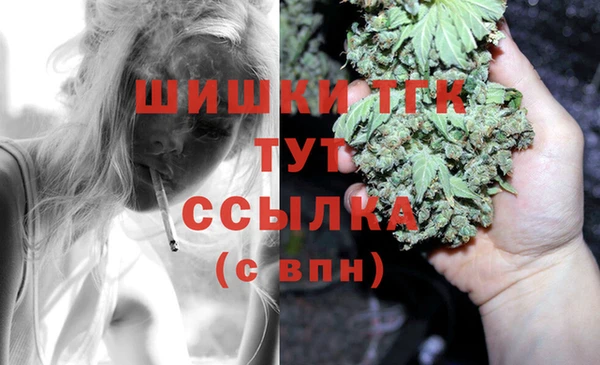 спайс Баксан