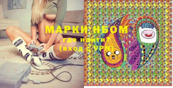 индика Балахна