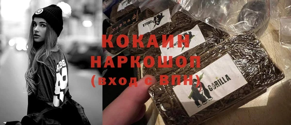 индика Балахна