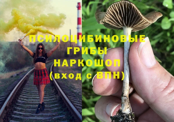 гидропоника Армянск